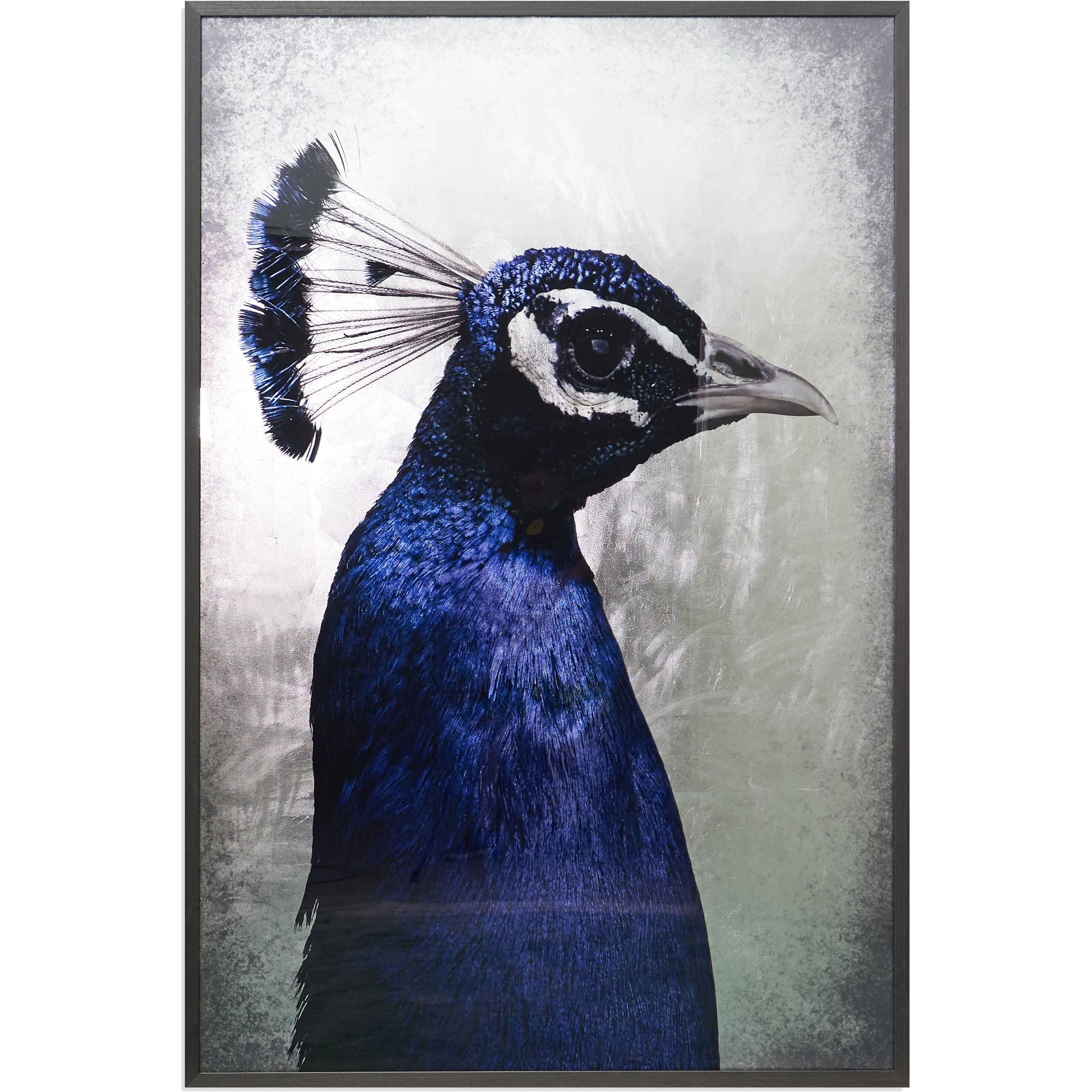 The Peacock Charcoal Luxe Art